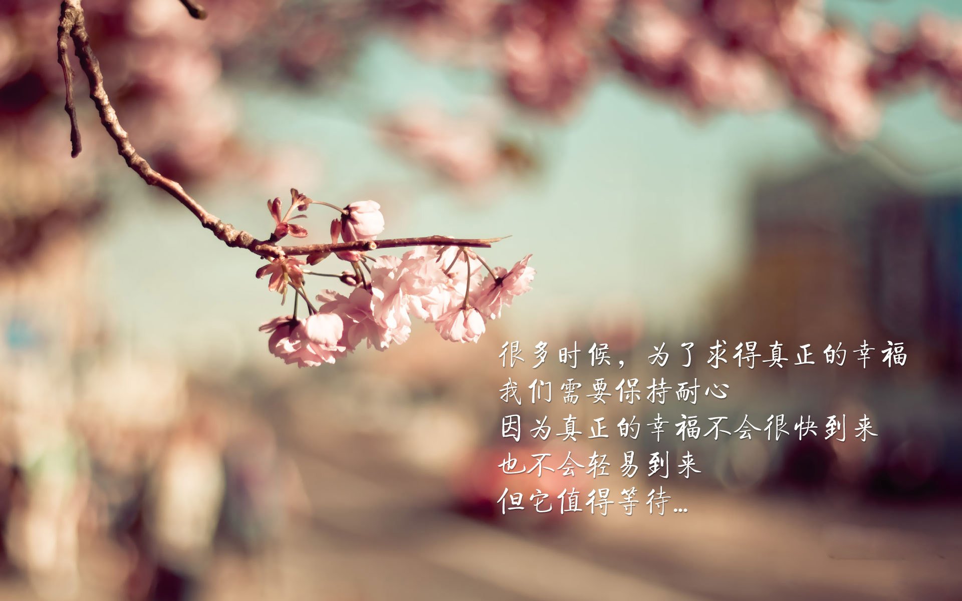 开云-最后一位拒绝交卷的人