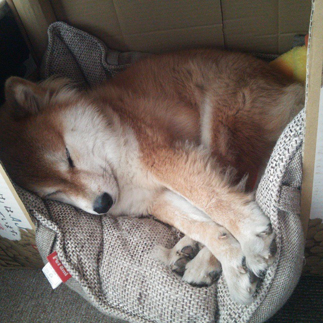 开云体育入口-封锁与接管，现代篮球的两种胜利方程式