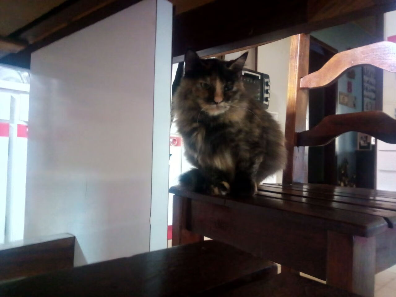 光影交错，当布克点亮记分牌，魔术悄然降临北境