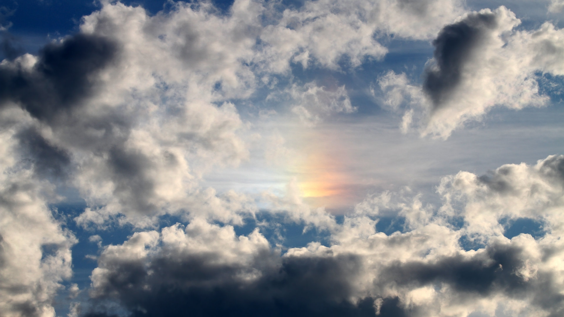 双城记,当福克斯单骑斩落欧冠巨兽,魔术用团队洪流吞噬费城—唯一性在篮球世界的两极呈现