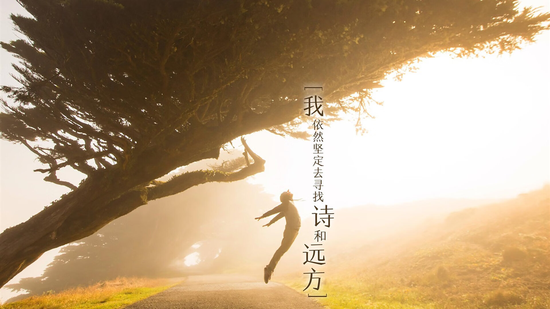 贝恩临危受命三分如雨,黄蜂主场稳稳撕裂马刺防线