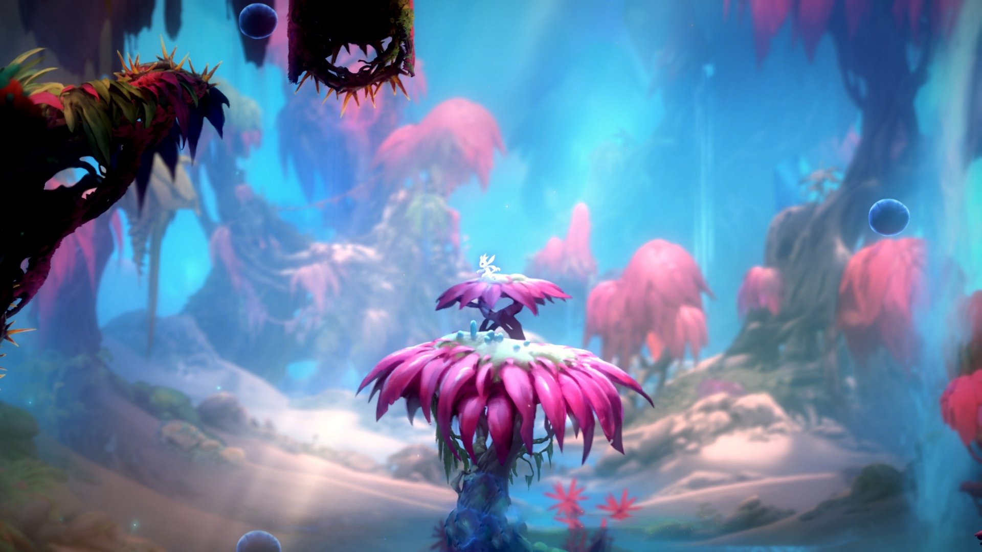 舞台上的唯一性,雄鹿狂胜雷霆,布克定律照亮NBA的独特光芒