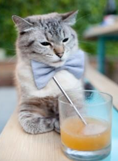 爆冷之夜!马里2-1粉碎马竞神话,加克波一战封神