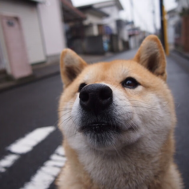 东决关键战之夜,神祇只在今夜将他的恩赐命名为蒂亚戈时间