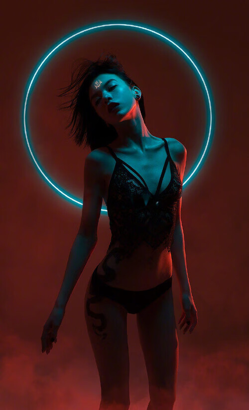 开云体育平台APP-字母哥与辽宁队，不同赛场，同一套王者法则