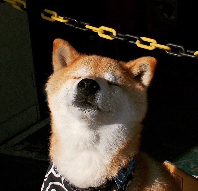 梅西神勇绝杀，勒沃库森强行终结爱尔兰不败神话