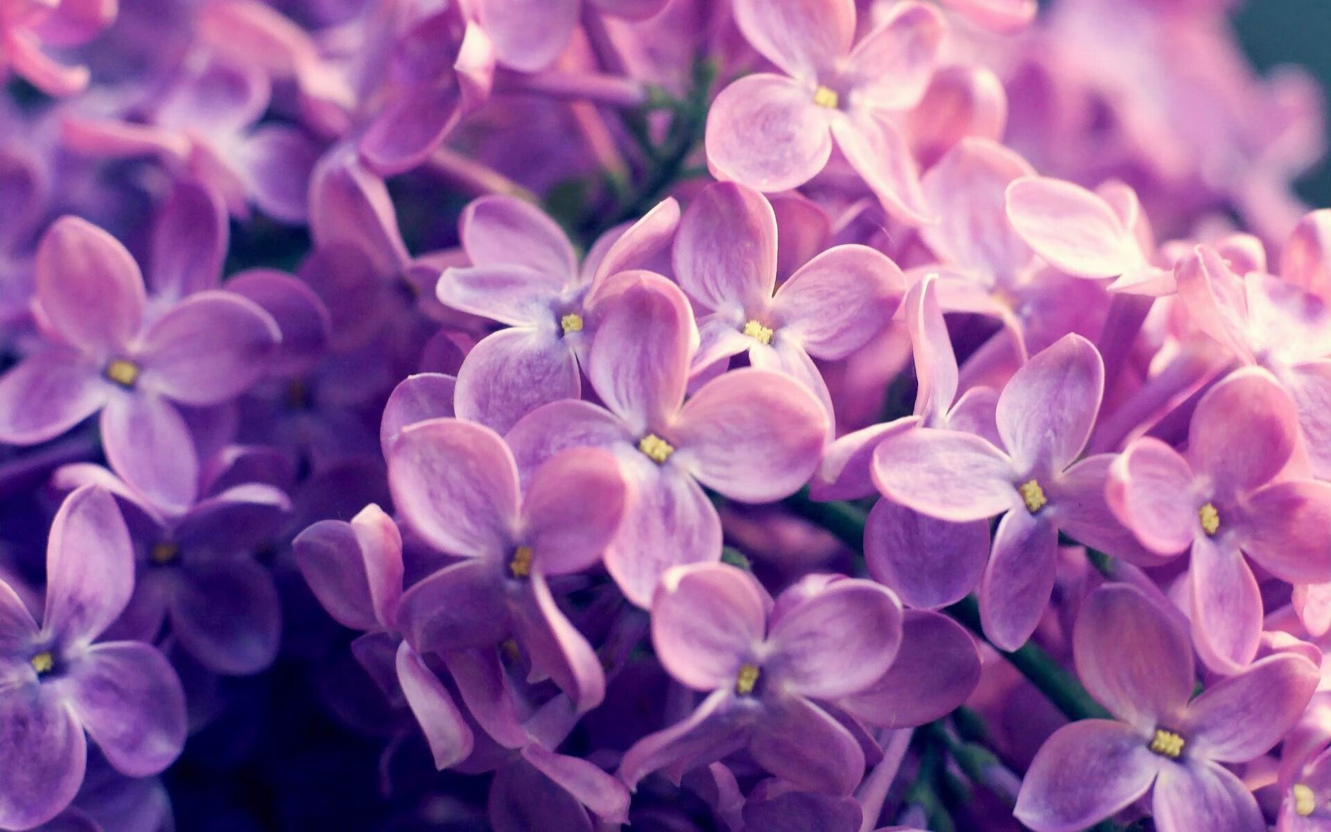 开云APP-隐形战靴,哈登在底特律的无声证明