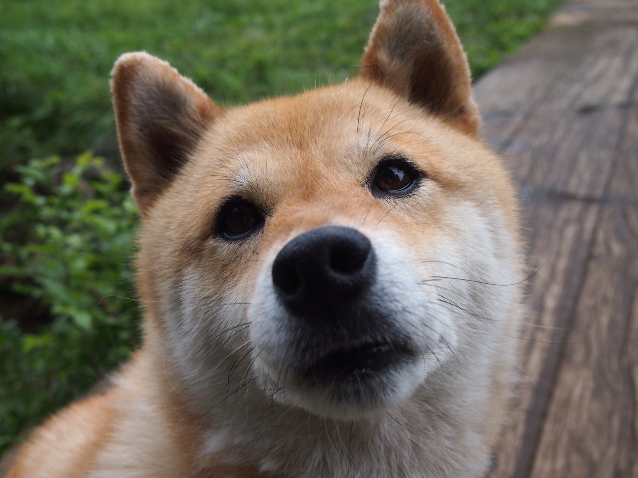 开云sport-当绿茵场化身卡莱战场,富安健洋的罗马式防守征服记