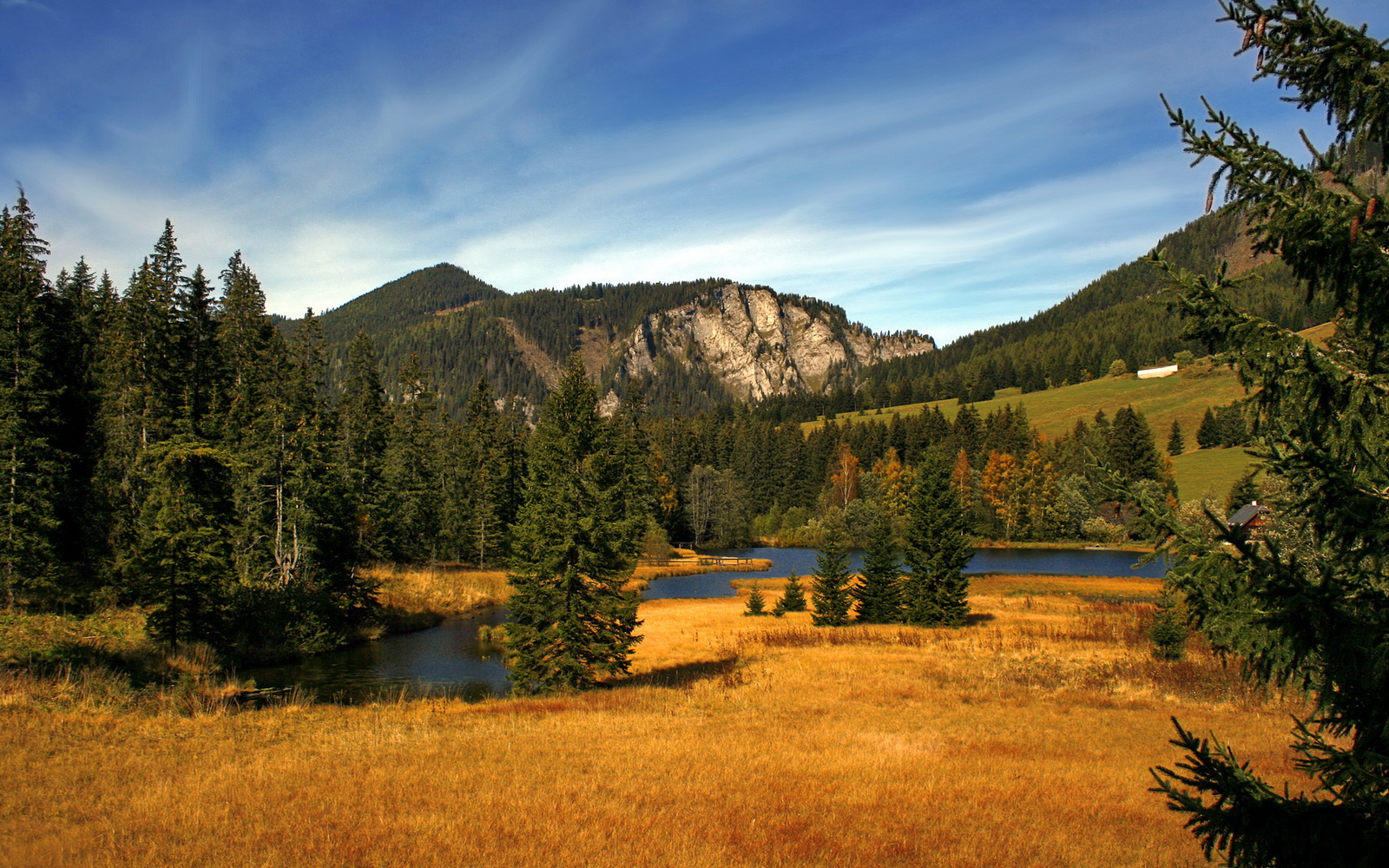 欧冠之夜,乔治的无人之境