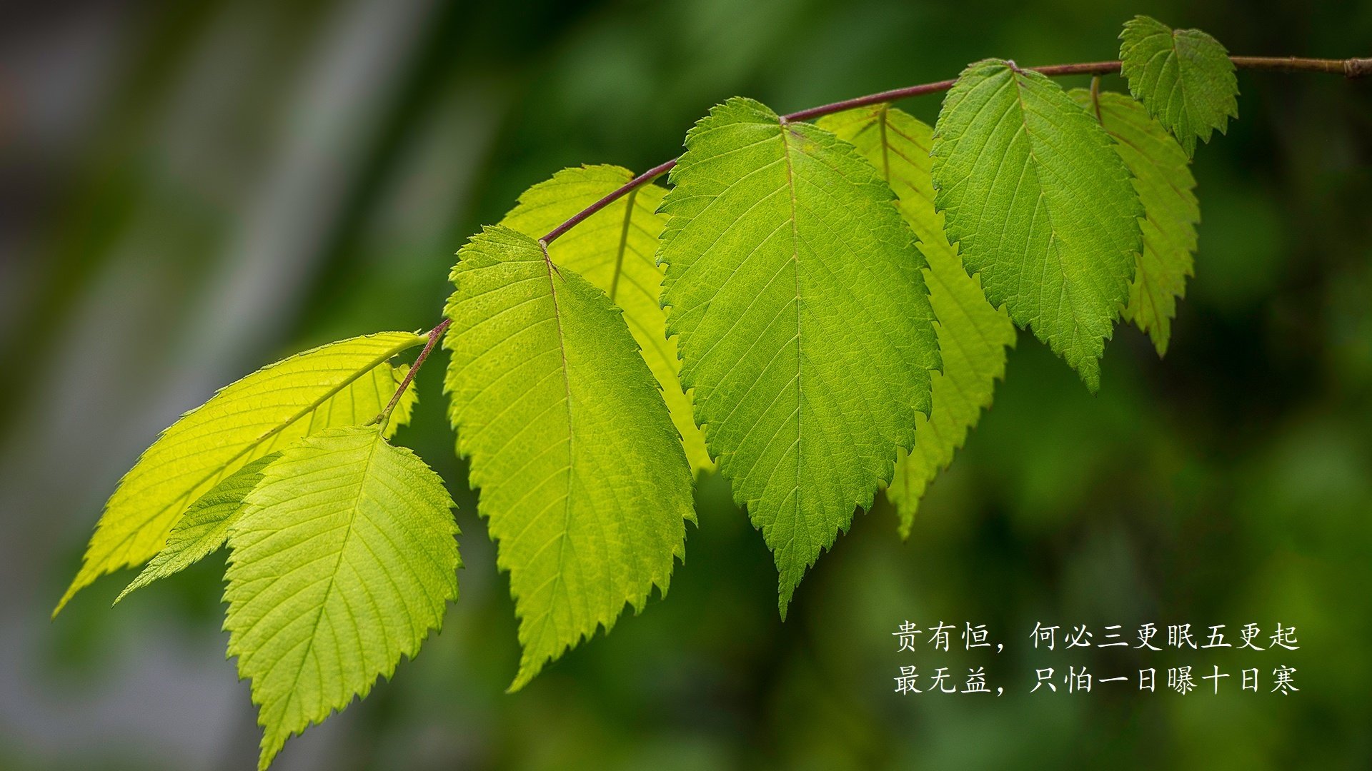 破碎的标签,加维的加时怒吼与哥斯达黎加的冷雨逆袭