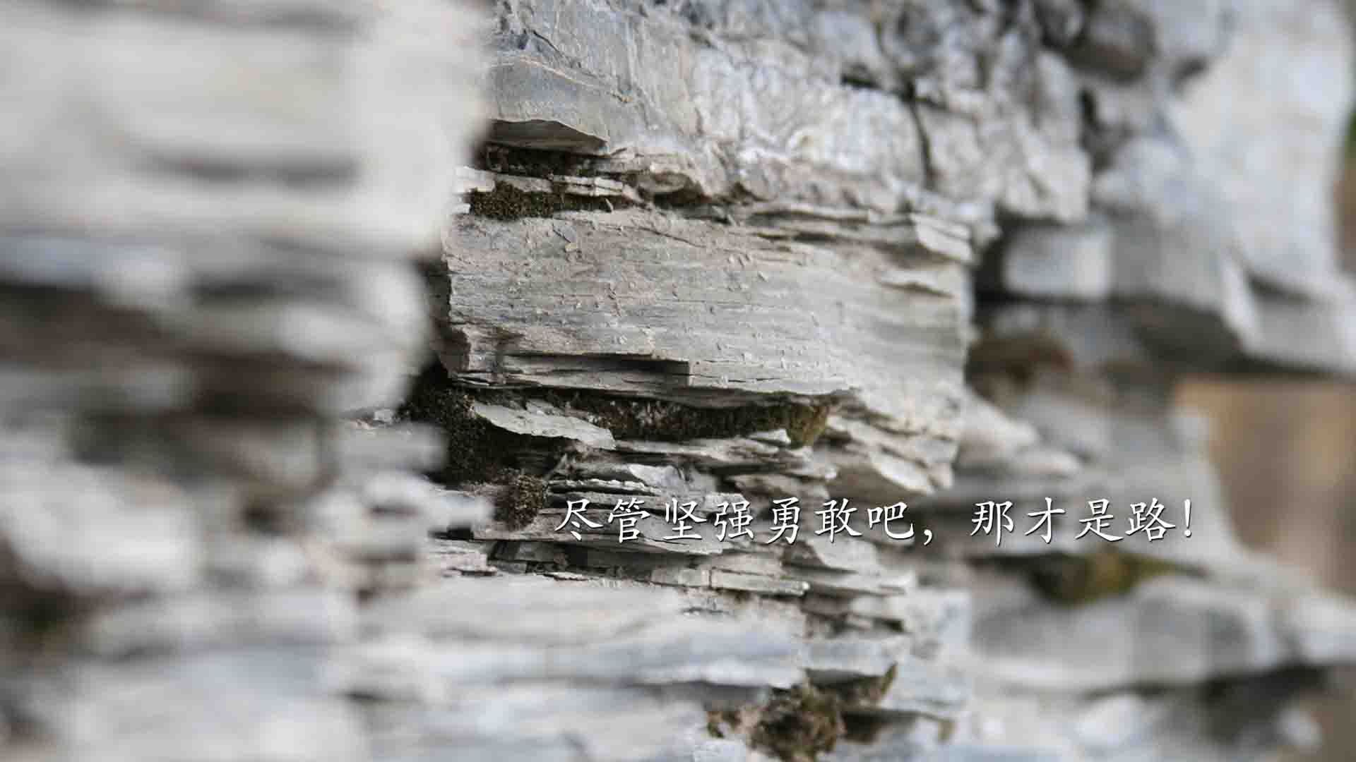 开云体育APP下载-天选之子,当罗德里戈的孤勇,刺破桑巴的黄昏