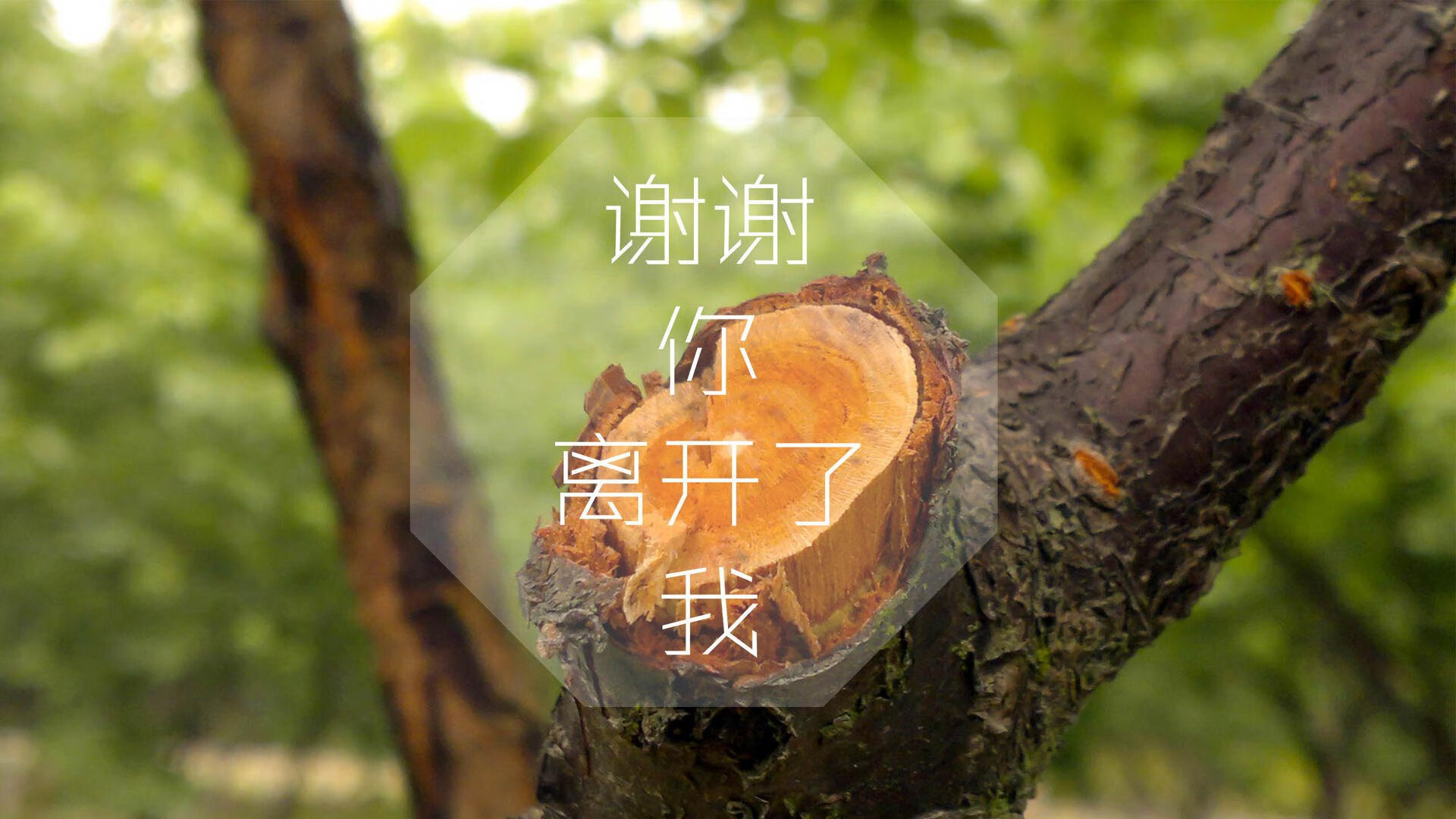 这是一个非常具有戏剧性和画面感的主题。将复仇、绝杀、替补奇兵和太子阿诺德这些元素融合，可以构建出一篇充满热血、悬念与反转的体育故事