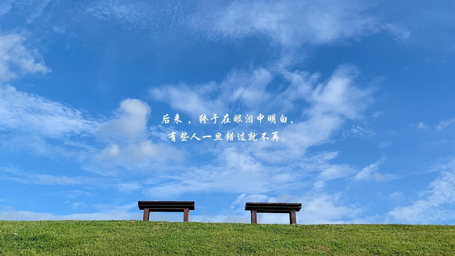 开云体育官网-沙漠风暴与高卢雄鸡的对决,2026世界杯,哈基米如何书写阿联酋的逆袭剧本?