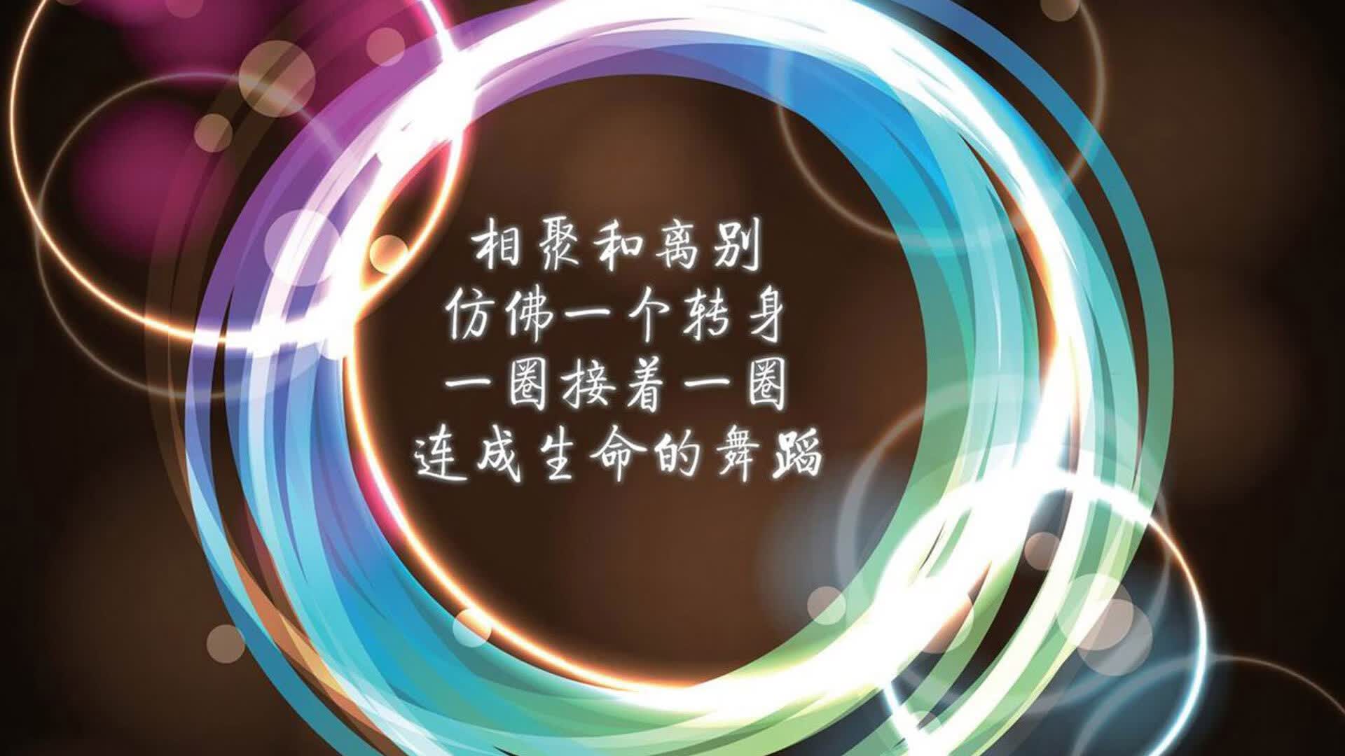 中场魔笛与桑巴之刃，2026世界杯关键战，克罗地亚防守反击大胜荷兰，维尼修斯一己之力定乾坤